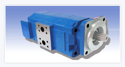 Single Inlet /Dual Outlet Hydraulic Pump